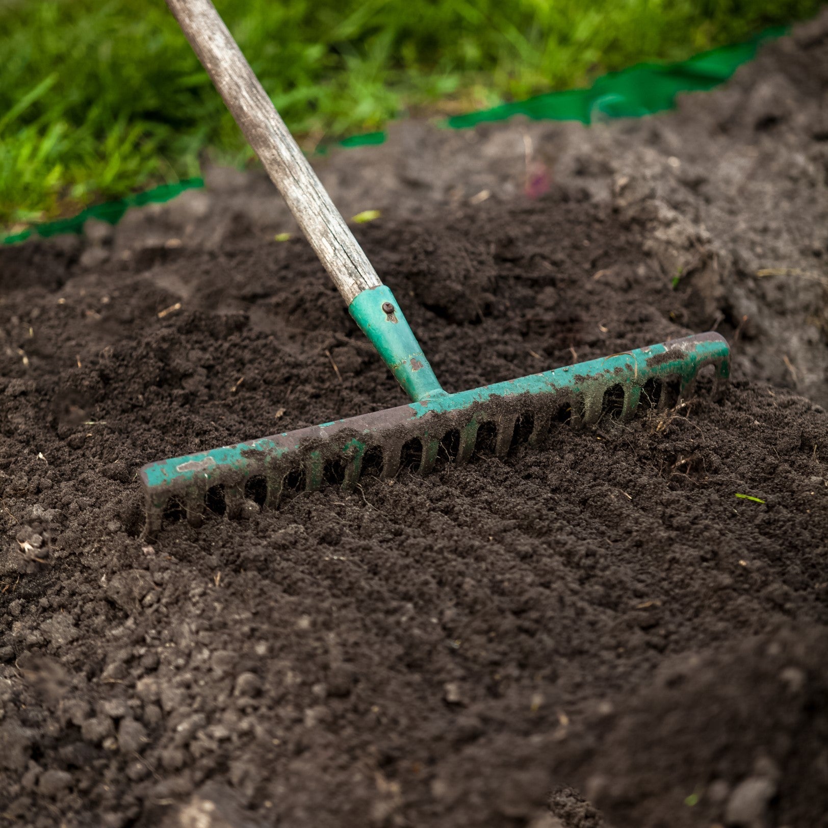 planting grass seed uk Wessex® Lawn & Turf Seeding Soil – Stone Zone & Landscaping Supplies