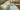 Garden Edging Ideas