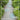 Affordable Garden Design Ideas