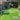 Is Artificial Grass right for you?