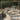 Stone Zone Decorative Stone Guide