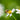 Sustainable Gardening 101: Eco-Friendly Ideas for a Greener Garden
