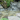 How to Create a Garden Pond