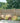 Garden with wooden fence, plants, and a clear sky