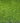 Close-up of green Ashby Artificial Grass, 30mm