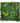 Artificial green wall with various types of plants on a white background