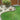 Lawn with a small garden area featuring a bush, rocks, and a flower pot and CORE Flexible Steel Edge, Cor-Ten ﻿