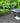 DISCOUNTED Rasa Nero Porcelain Paving, 900 x 600, 6.48m - Only 1 Pack Available; with outdoor living range and greenery