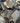 DISCOUNTED Rippon Buff Blend Sandstone Cobbles Setts, Various Sizes; beige and cream natural cobbles for gardens and patios