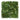 Artificial green wall with various green plants on a white background