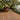 Garden pathway made of gravel with stepping stones, surrounded by plants and trees.