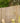 Wooden fence with blurred greenery in the background