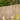 Wooden fence with blurred greenery in the background