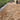 Garden with gravel pathway and wooden bench