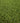 Close-up of Goliath Artificial Grass 38mm