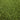 Close-up of Goliath Artificial Grass 38mm