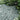 Path made of Green Slate surrounded by green plants and white flowers
