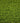 hanbury 35mm artificial grass up-close