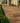 Paved patio area with stone tiles leading to a building entrance.