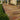 Paved patio area with stone tiles leading to a building entrance.