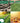 Jumbo Bag Away Green Waste Collection