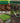 Jumbo Bag Away Turf & Soil Mix Waste Collection