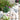 Decorative garden with Mediterranean Cobbles, grass, and pink flowers