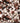 Multi Mix Chippings 8-11mm; blend of white, red and black natural stones