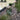 Decorative garden with pebbles, plants, and a small stream.