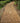 Path Chip; in garden path in large garden or commercial walkways and parks