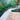 Garden with wooden deck, gravel pathways, and greenery