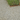 Gravel path with a small border of green plants