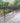 Composite Wooden deck with metal railing in a garden setting