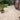 Paved patio area with potted plants in a garden setting.