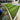 Artificial grass installed in a garden area with a house in the background
