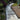 Paved garden path winding through a garden with plants and a bench.