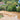 Wessex® Verde Evolved Composite Decking, Oak; large decked area in back garden with steps alongside turf