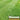 Wessex Turf Rolls; fresh, natural turf for back gardens and front lawns, plastic netting free