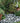 Decorative garden with pebbles, plants, and a bird statue.