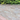 fernlea raj green sandstone walling stones with green bush