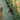 Potted plants on a black weed membrane in garden